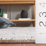 Safavieh Northport Ntp426A Ivory/Charcoal Rug.