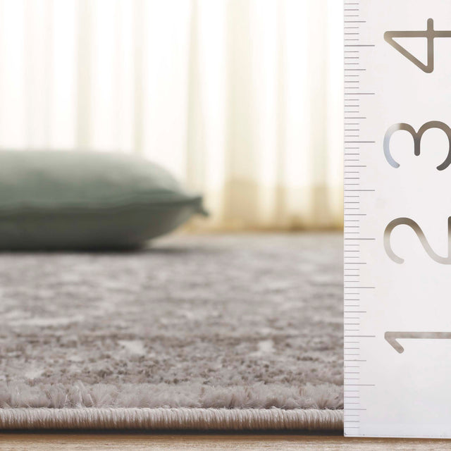 Safavieh Orchard Orc216A Ivory/Silver Rug.