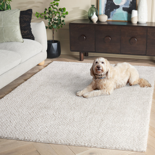 Safavieh Penelope Shag Pnl500A Ivory Rug.