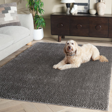 Safavieh Penelope Shag Pnl500F Grey Rug.