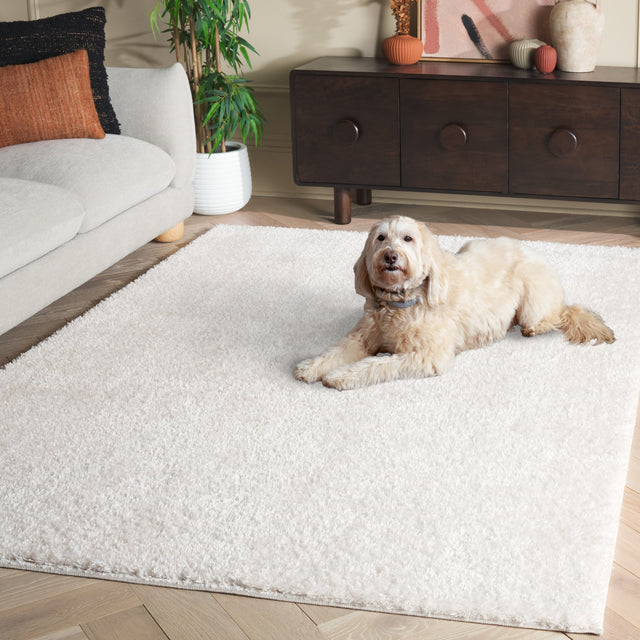 Safavieh Penelope Shag Pnl540A Ivory Rug.