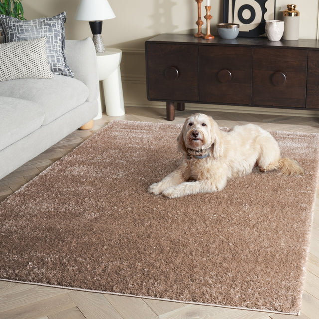 Safavieh Penelope Shag Pnl540E Taupe Rug.