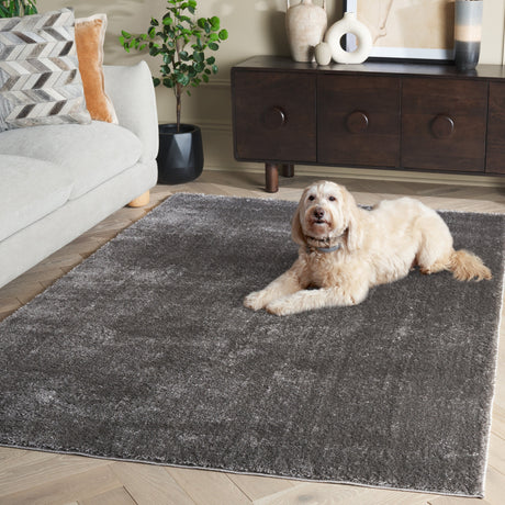 Safavieh Penelope Shag Pnl540F Grey Rug.