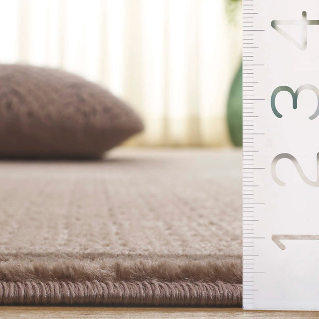 Safavieh Prestige Pte132B Ivory/Brown Rug.