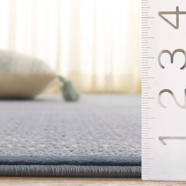 Safavieh Prestige Pte132D Ivory/Blue Rug.