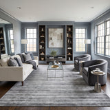 Amer Raffia RAF-5 Silver Gray area rug - lifestyle view