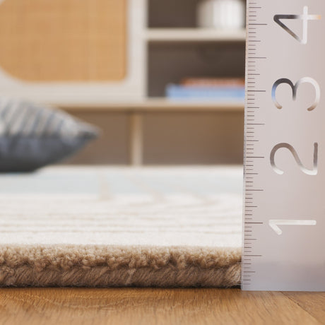 Safavieh Rodeo Drive Rd376A Ivory/Blue Rug.
