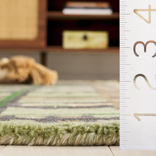Safavieh Rodeo Drive Rd976Y Green/Purple Rug.