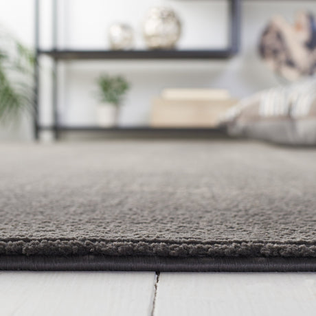 Safavieh Revive Rev102H Charcoal Rug.