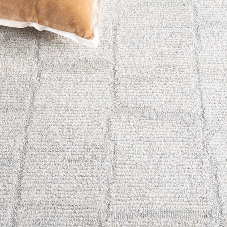 Safavieh Renewal Rnw201G Light Grey Rug.