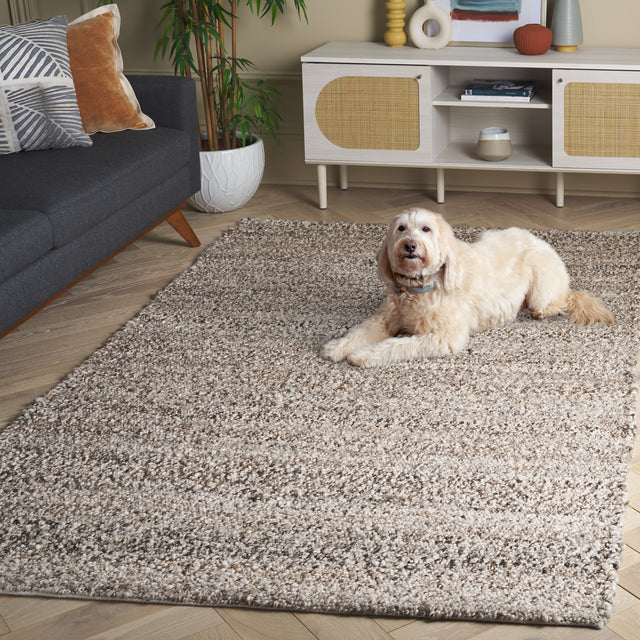 Safavieh Renewal Rnw601F Natural/Grey Rug.