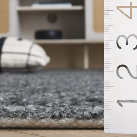 Safavieh Renewal Rnw601H Charcoal Rug.