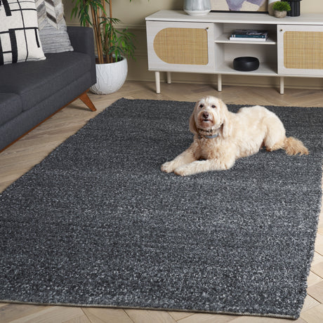 Safavieh Renewal Rnw601H Charcoal Rug.