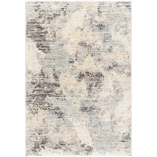 Surya Rojin Roj-2302 Gray, Light Blue, Taupe, Oatmeal, Light Slate, Black.