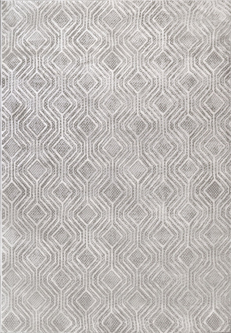 Dynamic Rugs Rori 9351 Power Loomed Modern Grey Rug