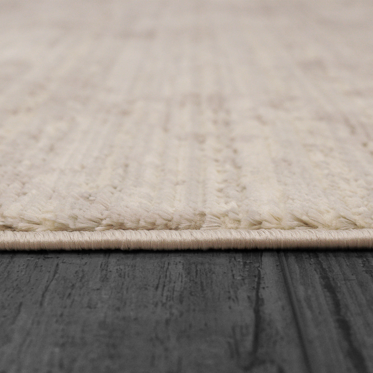Dynamic Rugs Rori 9353 Power Loomed Modern Ivory/Beige Rug