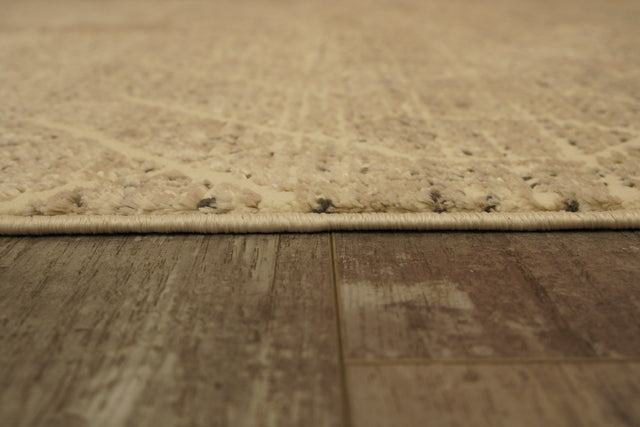 Dynamic Rugs Rori 9354 Power Loomed Modern Ivory/Charcoal Rug