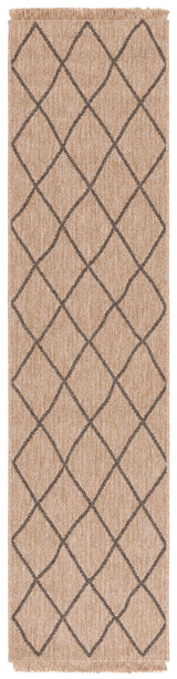 Safavieh Retreat Rte256B Natural/Black Rug.