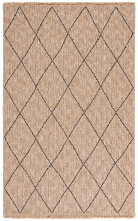 Safavieh Retreat Rte256B Natural/Black Rug.