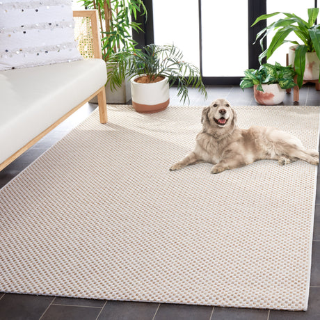 Safavieh Sisal All-Weather Saw640B Ivory/Natural Rug.