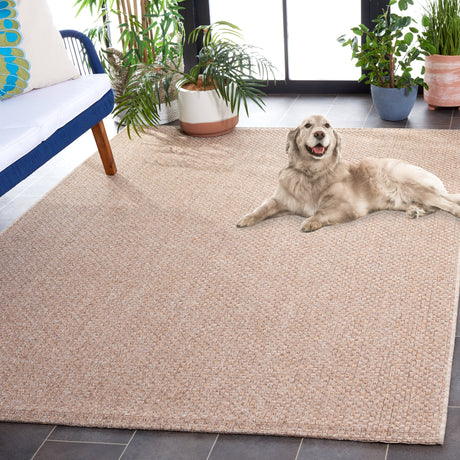 Safavieh Sisal All-Weather Saw640E Taupe Rug.