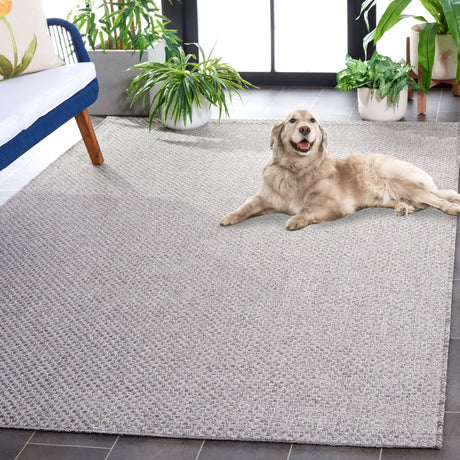 Safavieh Sisal All-Weather Saw640F Light Grey Rug.