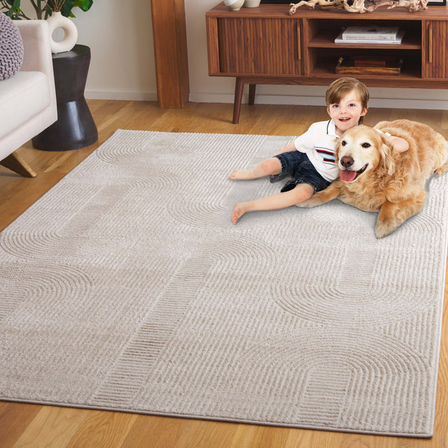 Safavieh Saylor Say110B Beige Rug.