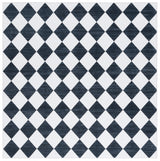Safavieh Santa Clara Scl938A Ivory/Black Rug.