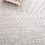 Safavieh Stella Sta106B Ivory Rug.