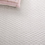 Safavieh Stella Sta111B Ivory Rug.