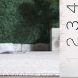 Safavieh Stella Sta112B Ivory Rug.