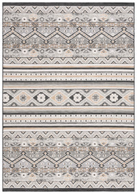 Safavieh Sunrise Sun629F Grey/Beige Black Area Rug