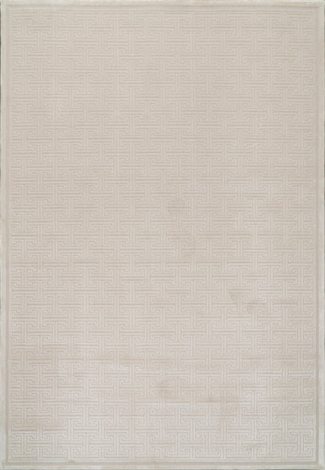 Dynamic Rugs Timeless 6922 Power Loomed Modern Beige Rug