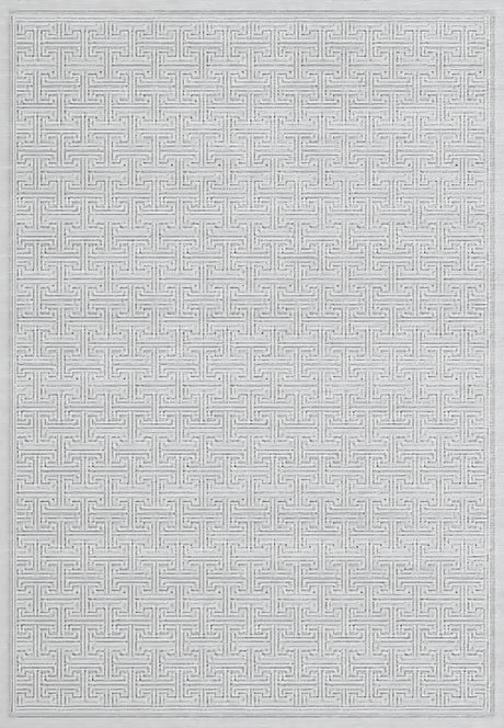 Dynamic Rugs Timeless 6930 Power Loomed Modern Grey Rug