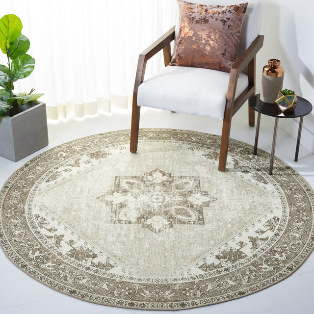 Safavieh Machine Washable Tucson Tsn102W Sage/Ivory Rug