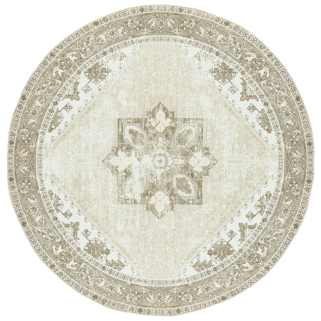 Safavieh Machine Washable Tucson Tsn102W Sage/Ivory Rug