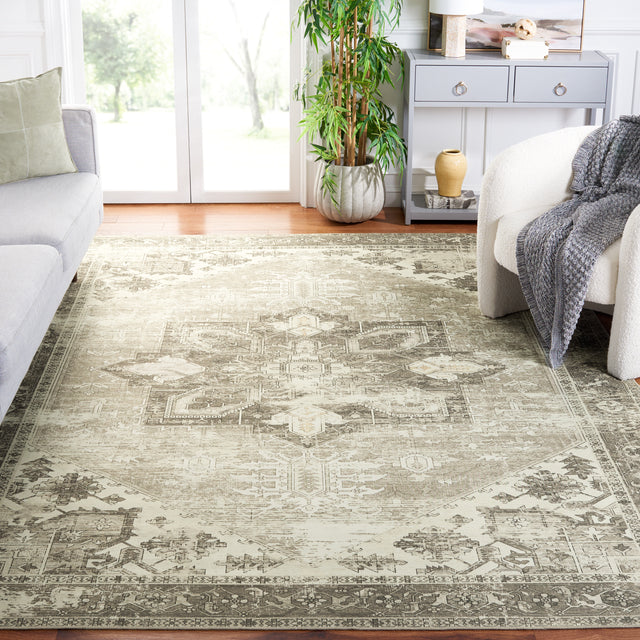 Safavieh Machine Washable Tucson Tsn102W Sage/Ivory Rug