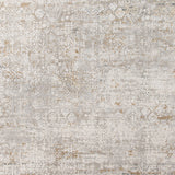 Amer Venice VEN-4 Gray / Gold area rug - color swatch view