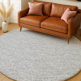 Dalyn Voyage VY2 Transitional Machine Made Silver Rug