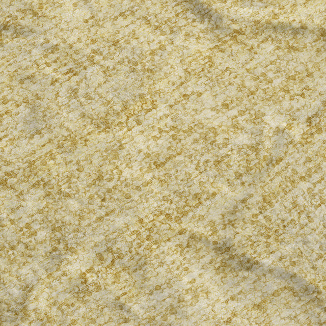 Dalyn Voyage VY2 Transitional Machine Made Wheat Rug