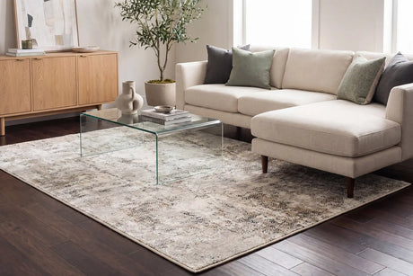 Dynamic Rugs Quartz 27061 Ivory / Grey Rugs - Room