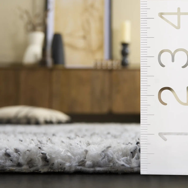 Safavieh Glory Shag 4'-0" x 6'-0" Rug in Ivory / Grey