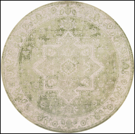 Nourison Astra Machine Washable Asw12 Ivory Green Area Rug