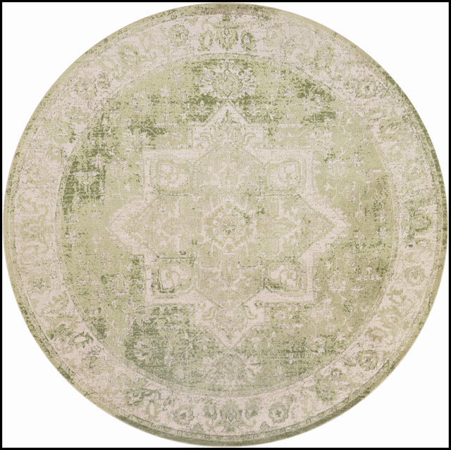 Nourison Astra Machine Washable Asw12 Ivory Green Area Rug