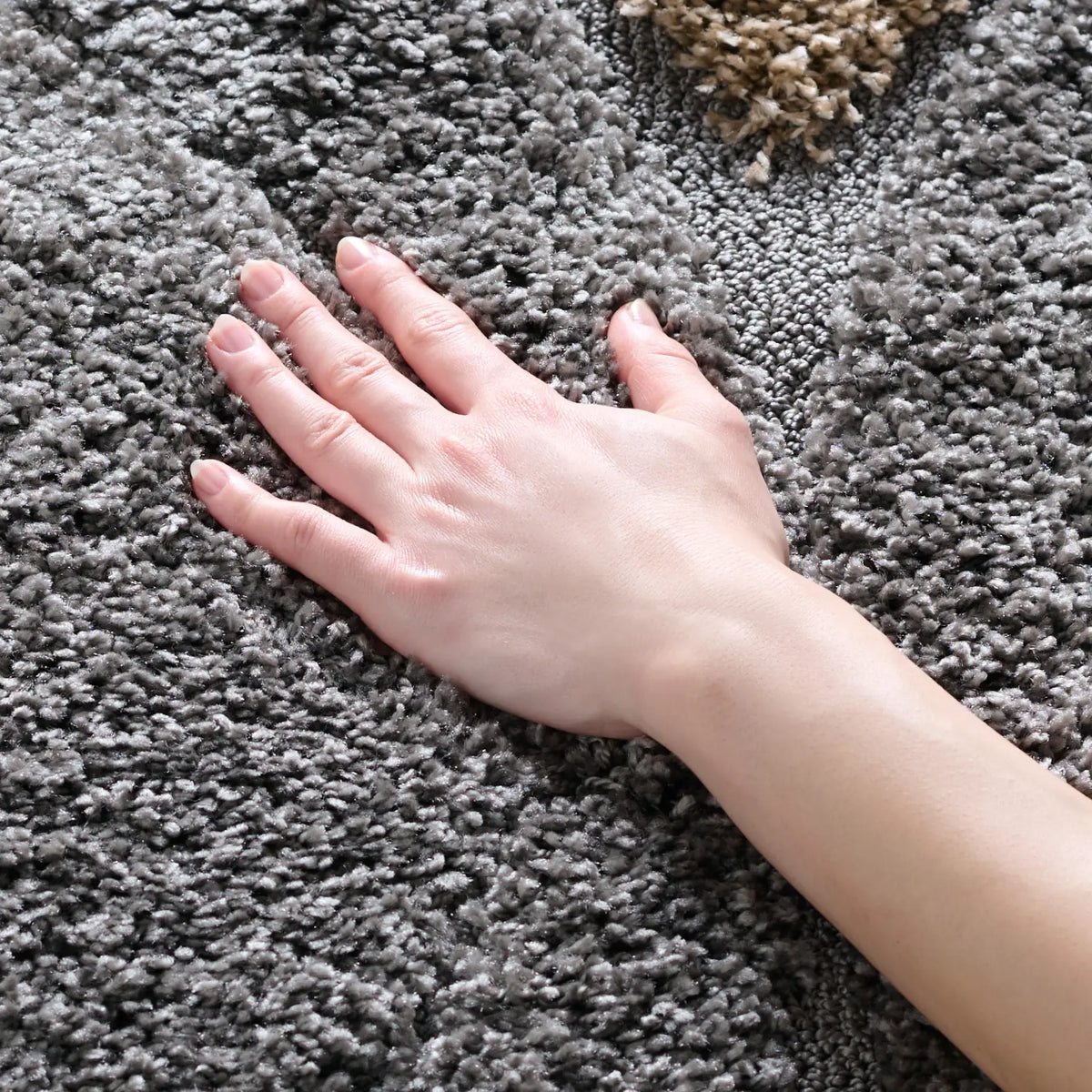 Safavieh Florida Shag 3'-3" x 5'-3" Rug in Grey / Ivory
