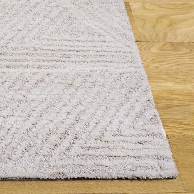 Safavieh Ebony 4'-0" x 6'-0" Rug in Ivory / Beige