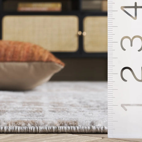 Safavieh Mila 4'-0" x 6'-0" Rug in Beige / Ivory Grey