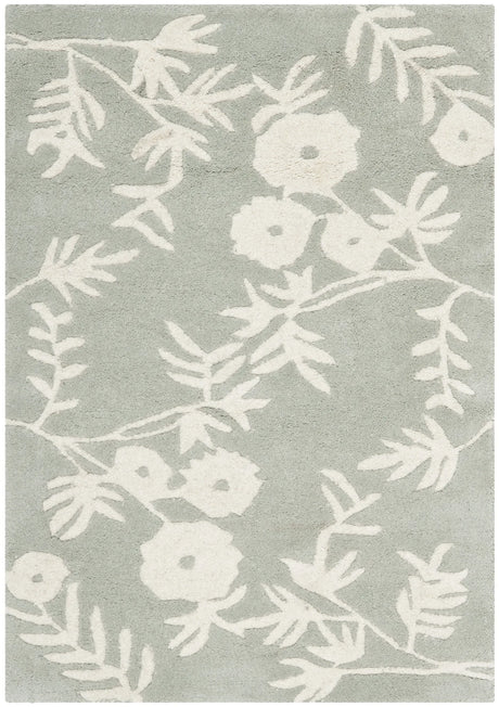 Safavieh Soho 2'-0" x 3'-0" Rug in Grey / Ivory