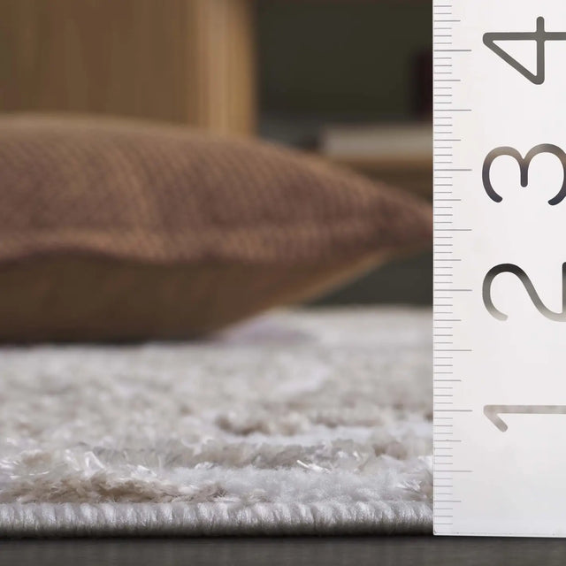 Safavieh Maya 4'-0" x 6'-0" Rug in Ivory / Beige