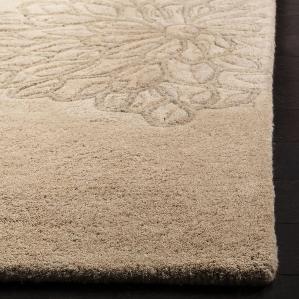 Safavieh Soho 3'-6" x 5'-6" Rug in Beige / Multi